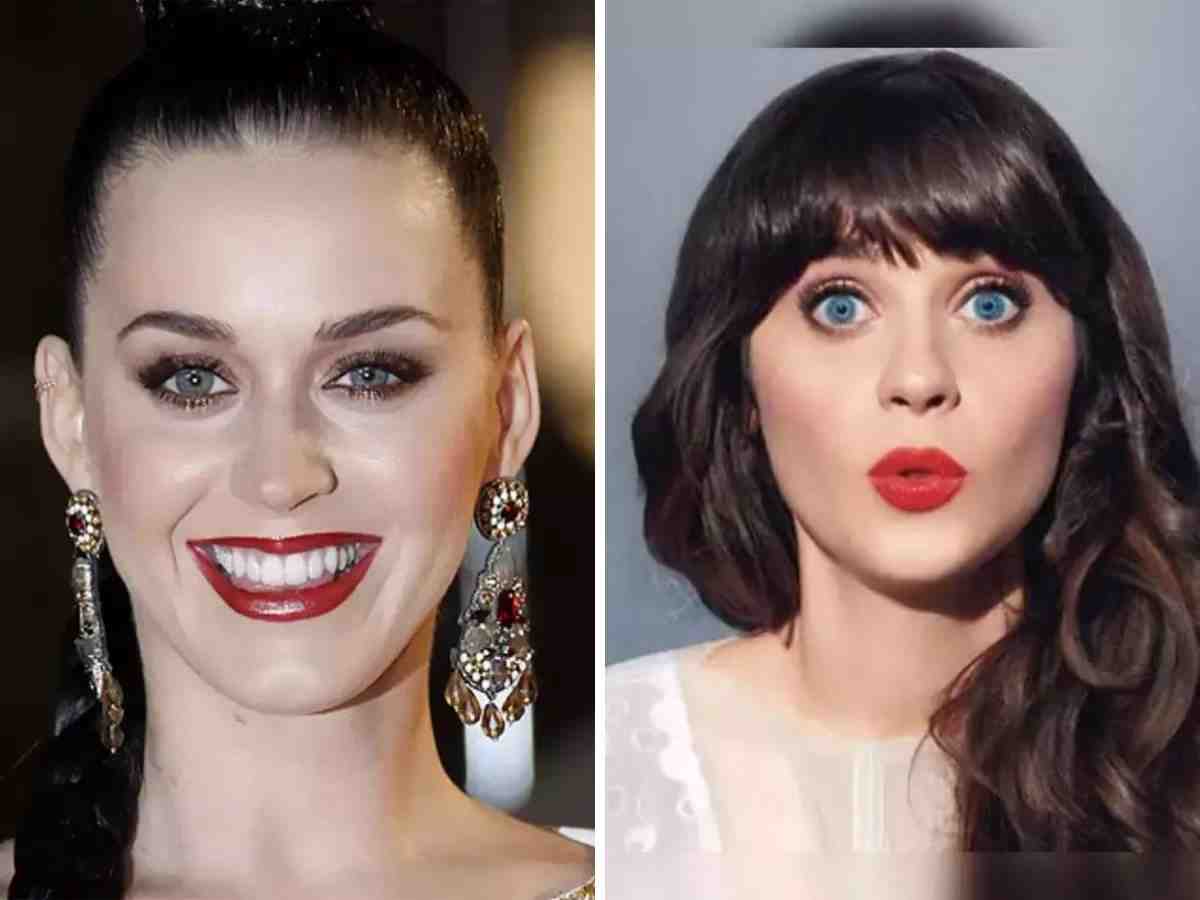 celebrity look alike